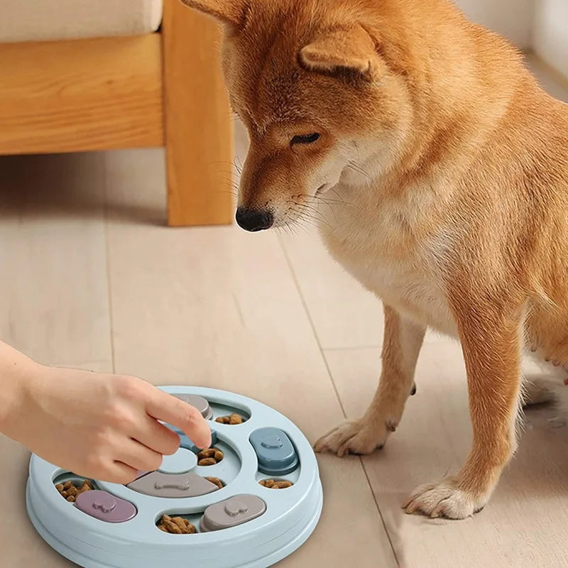 Dog Slow Feeder Puzzle Bowl — Interactive Anti-Gulp Feeding Toy